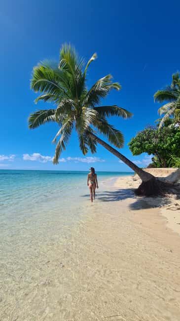 Fiji: Captain Cook Cruises - Island & Reef Day Trip - Who Should Consider This Tour?