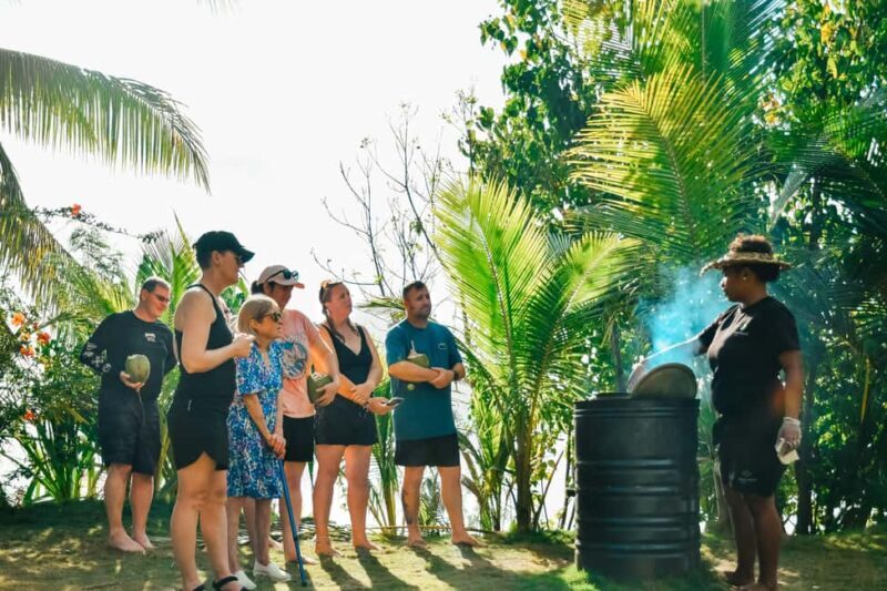 Fiji: Day and Night Combo Tour - Key Points  