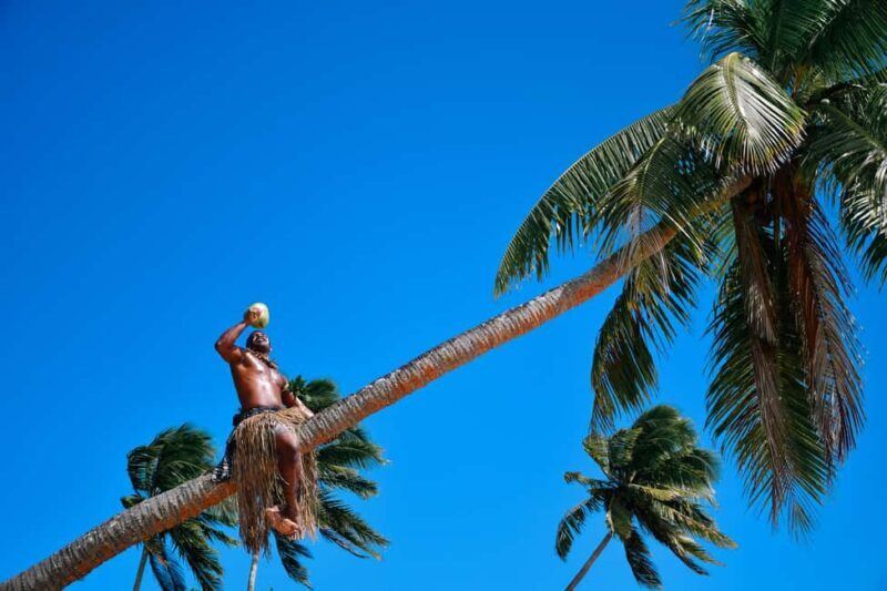 Fiji: Day and Night Combo Tour - Authenticity & Value