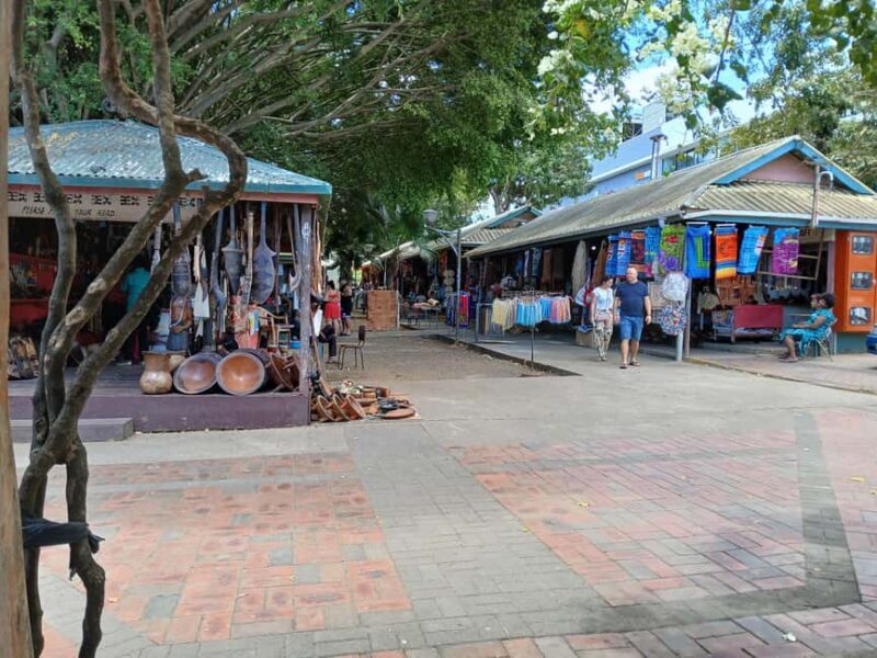 Fiji: Discover Nadi with Sabeto Hotspring and Mudpool Tour - The Sum Up – Who Would Love This Tour?  