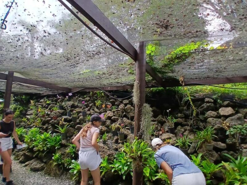 FIJI: Garden of the Sleeping Giant - Key Points