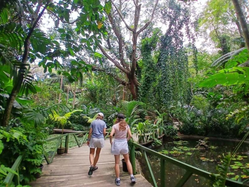 FIJI: Garden of the Sleeping Giant - Authentic Experiences and Insights