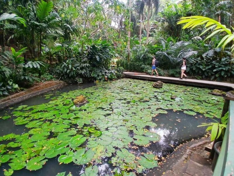 FIJI: Garden of the Sleeping Giant - Final Thoughts: Is It Worth It?