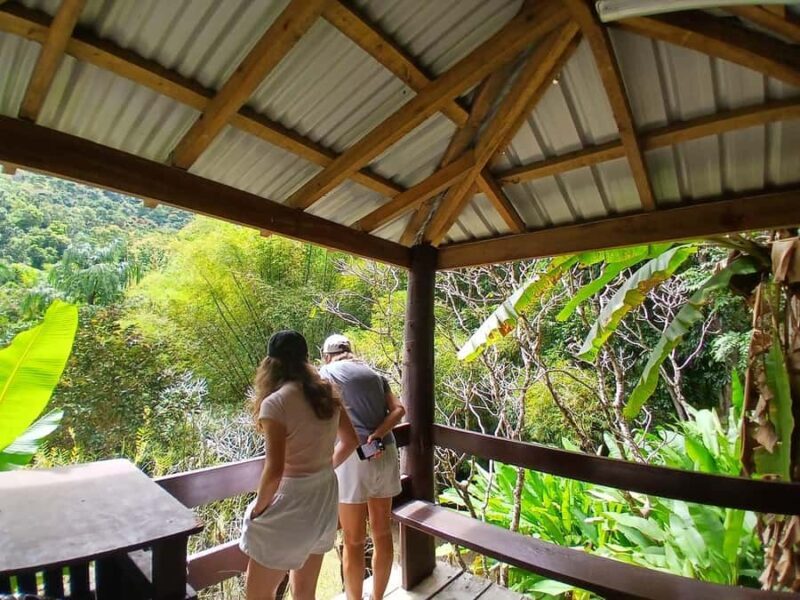 FIJI: Garden of the Sleeping Giant Tour - The Journey and What It Entails