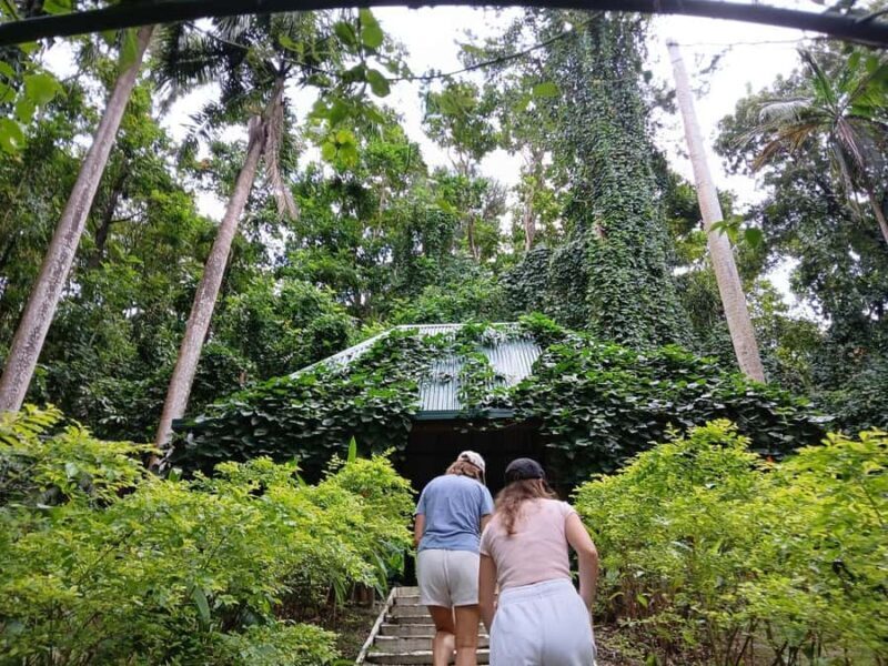 FIJI: Garden of the Sleeping Giant Tour - Reviews and Authentic Insights