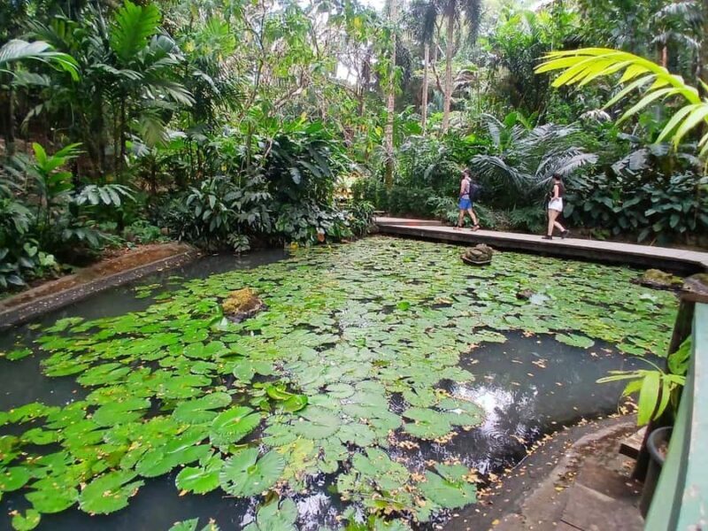 FIJI: Garden of the Sleeping Giant Tour - Who Will Love the Garden of the Sleeping Giant?