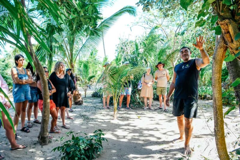 Fiji: Half-Day Island Activities Tour with Jungle Cruise - Who Will Love This Tour?