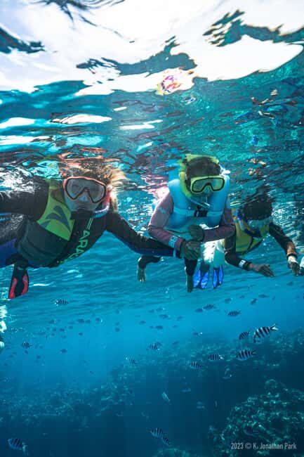 Fiji: Kuata Island Marine Conservation Experience Full Day - FAQs