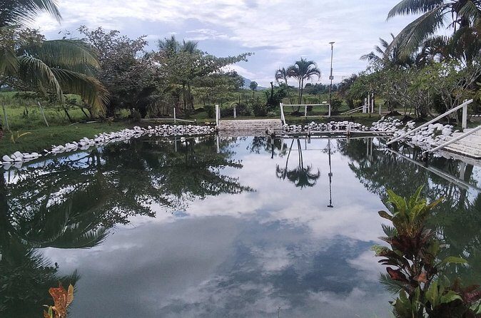 FIJI: Official Tifajek Mud Pool and Hot Spring Tour - Final Thoughts: Why This Tour Is a Solid Choice