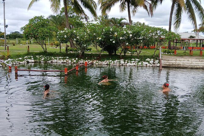 FIJI Official Tifajek MudPool & Hotspring Entry Fee Tickets Only - Authentic Experiences Shaped by Visitor Feedback