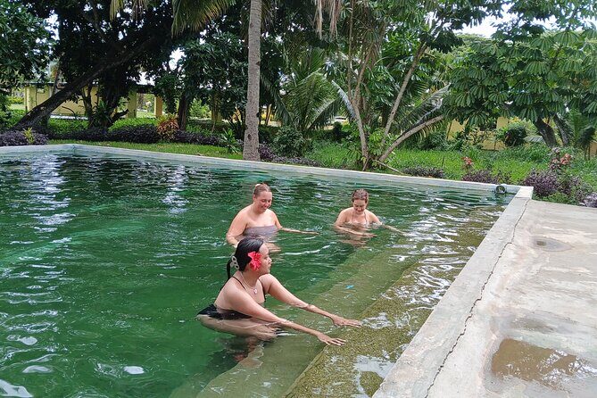 FIJI Official Tifajek MudPool & Hotspring Entry Fee Tickets Only - FAQ