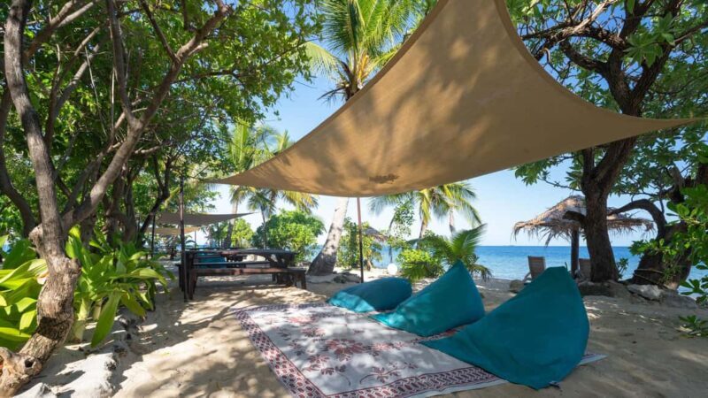 Fiji: South Sea Island Full Day Trip with Lunch & Drinks - Cultural Entertainment and Lunch