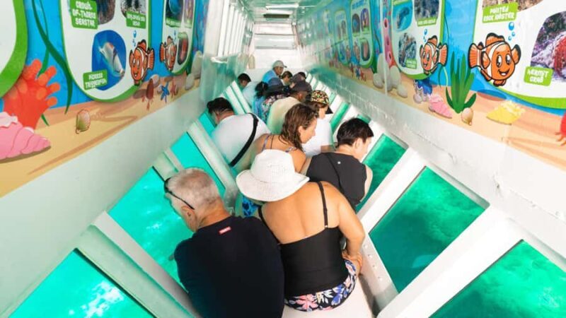 Fiji: South Sea Island Half-Day Trip with Lunch - Practical Considerations