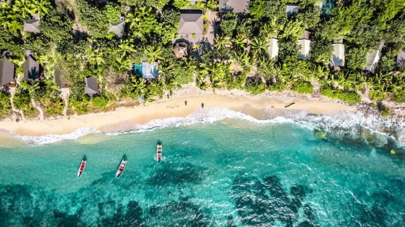 Fiji: Ultimate Encounters Snorkel with Sharks and Lunch - An In-Depth Look at the Experience