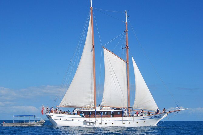 Fijian Islands and Snorkel Full-Day Whales Tale Cruise including Beach BBQ Lunch - Key Points
