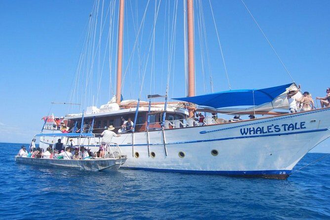 Fijian Islands and Snorkel Full-Day Whales Tale Cruise including Beach BBQ Lunch - The Sum Up