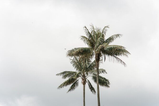 filandia-salento-and-cocora-valley-tour