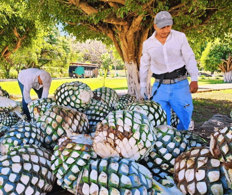 Finca 18 Tequila Tour w/ Chocolate Pairing + Pickup Point - Key Points
