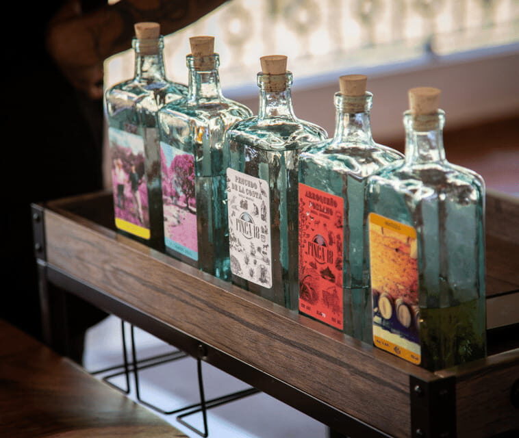 Finca 18 Tequila Tour w/ Chocolate Pairing + Pickup Point - The Sum Up: Who Is This Tour Best For?