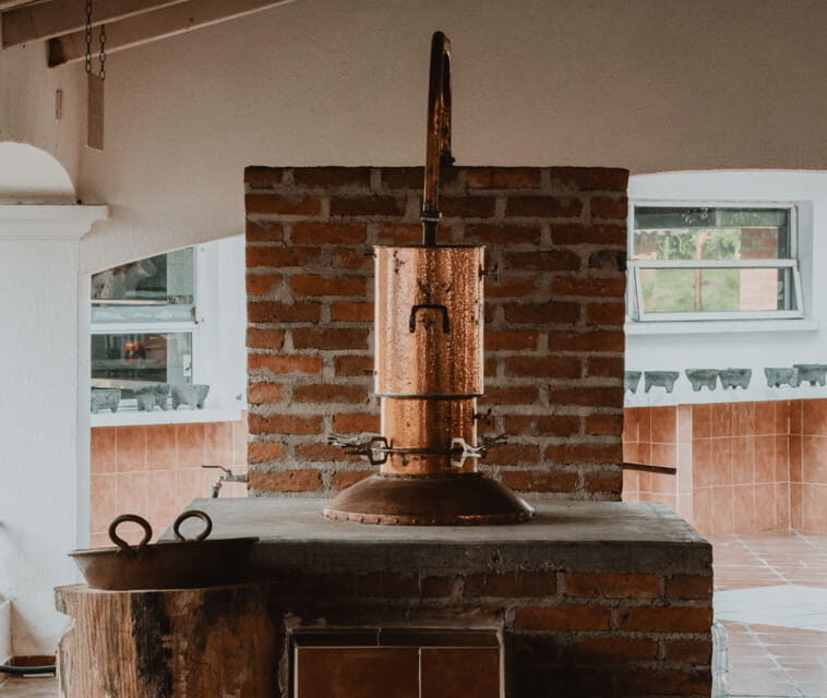 Finca 18 Tequila Tour w/ Chocolate Pairing + Pickup Point - FAQ