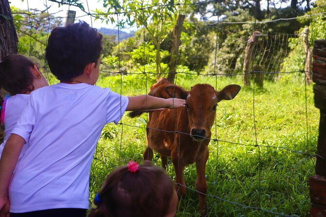 finca-el-paraiso-farm-cheese-tour-in-monteverde