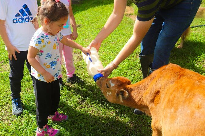 finca-el-paraiso-farm-cheese-tour-in-monteverde