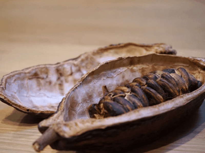 fine-chocolate-tasting-in-turin