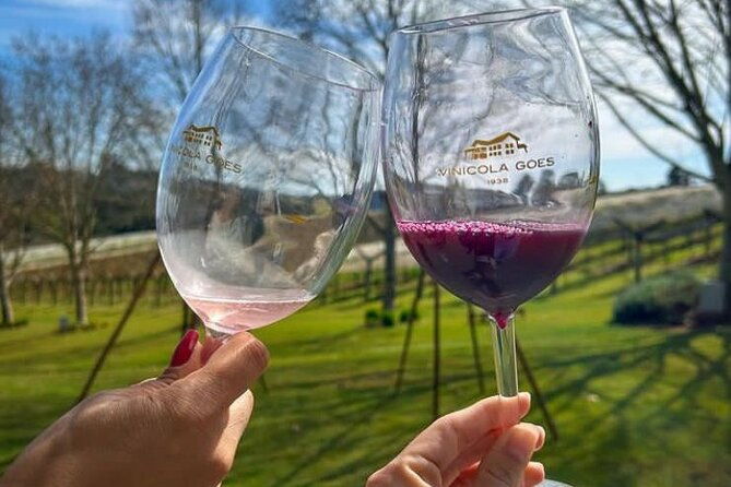 fine-wine-tastings-in-sao-roque-tour-with-local-guides