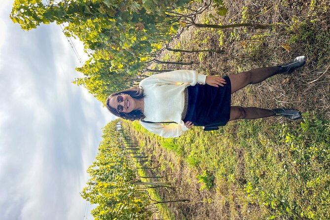 fine-wine-tastings-in-sao-roque-tour-with-local-guides