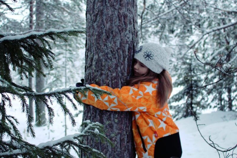 finland-levi-arctic-cocooning-experience-in-halipuu-forest
