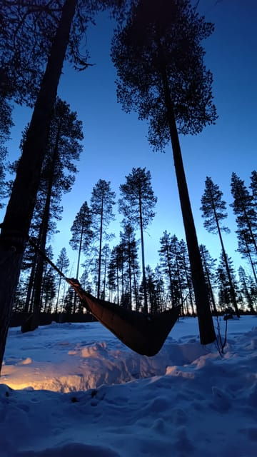 finland-levi-arctic-cocooning-experience-in-halipuu-forest