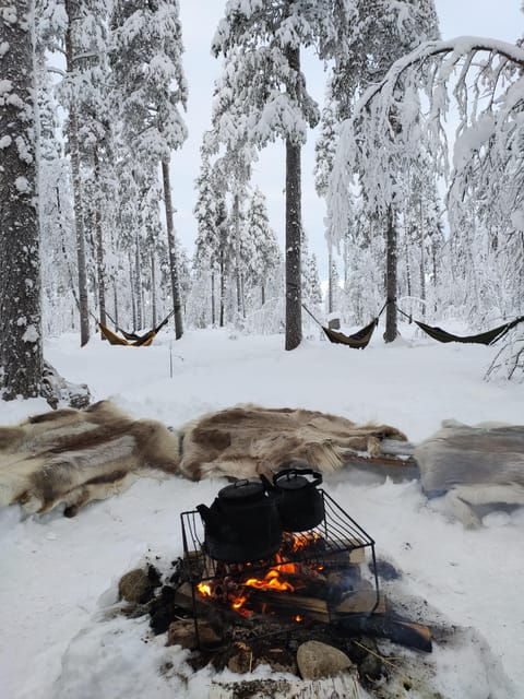 finland-levi-arctic-cocooning-experience-in-halipuu-forest