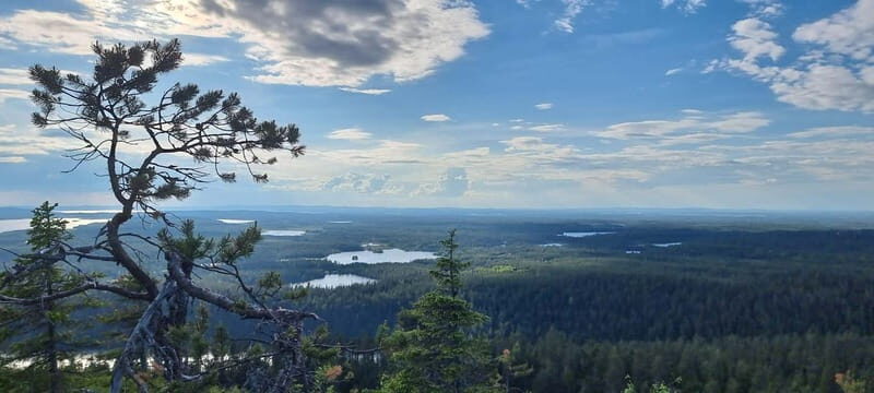 Finnish Lapland: Midnight Sun Hike in Riisitunturi np - Key Points