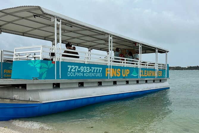 fins-up-dolphin-island-sandbar-adventure-in-clearwater-beach-2