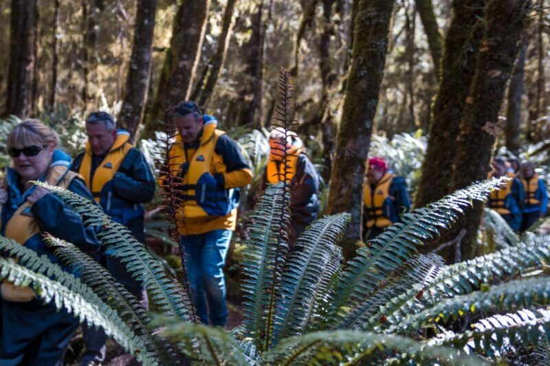 Fiordland: Jet Boat & Nature Walk Experience from Te Anau - The Itinerary: What to Expect on Your Day Out