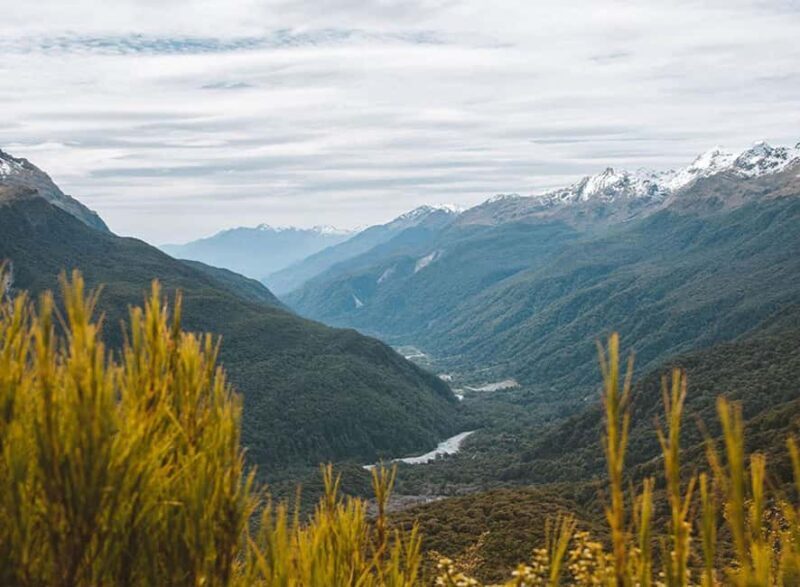 Fiordland: Routeburn Track and Key Summit Guided Day Walk - Key Points  