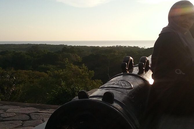 Fireflies and Kuala Selangor Tour Including Dinner - The Sum Up