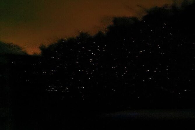 Fireflies & Silver leaf monkey Gazing tour - FAQ