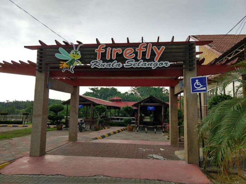 firefly-eagle-feeding-and-blue-tears-kuala-selangor-tour