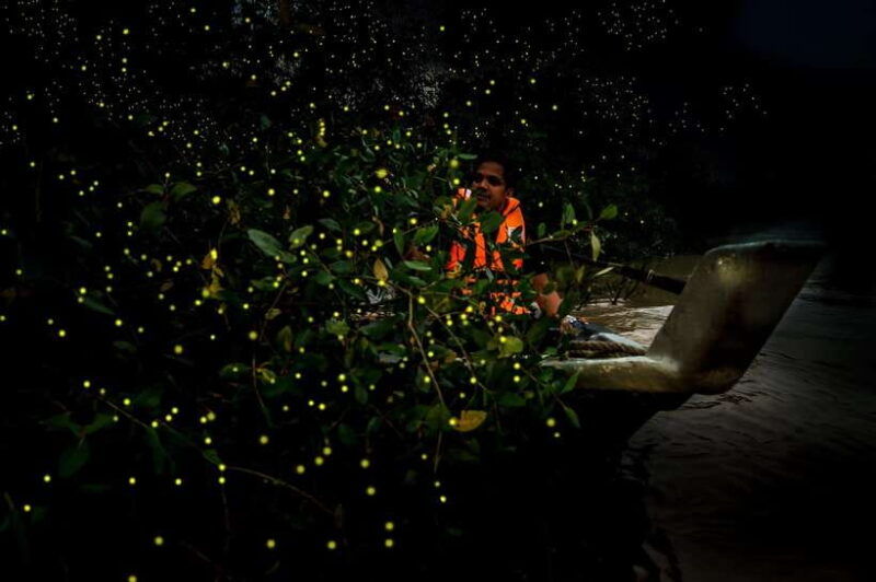 firefly-eagle-feeding-and-blue-tears-kuala-selangor-tour
