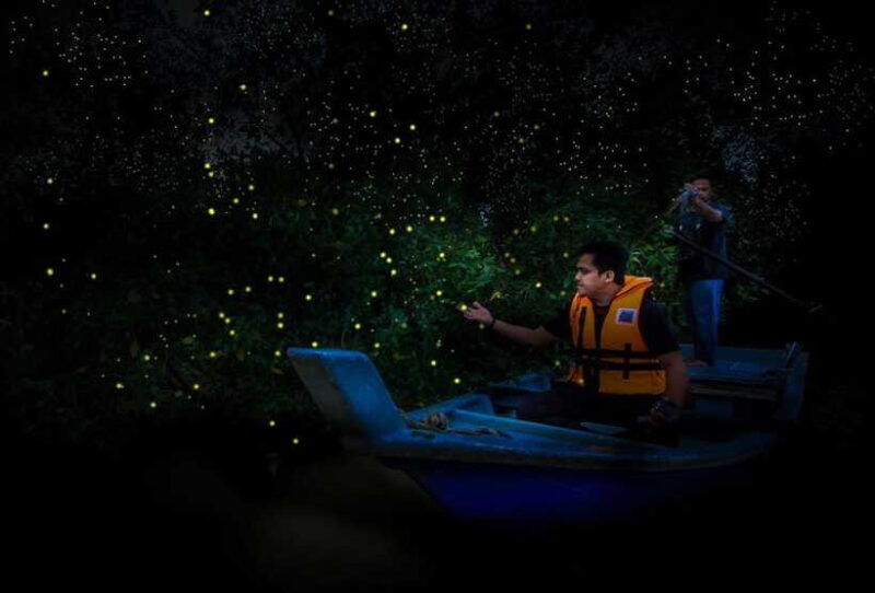 firefly-eagle-feeding-and-blue-tears-kuala-selangor-tour