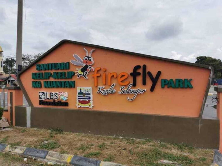 firefly-eagle-feeding-and-blue-tears-kuala-selangor-tour