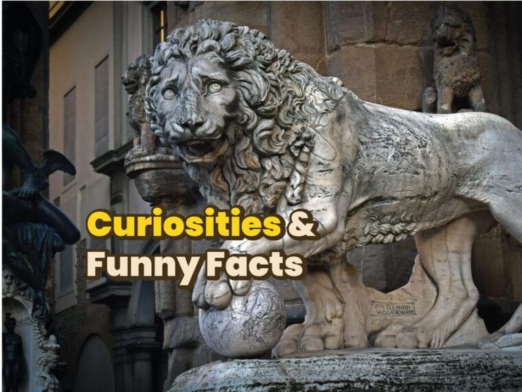 firenze-digital-guide-made-by-a-local-for-your-walking-tour