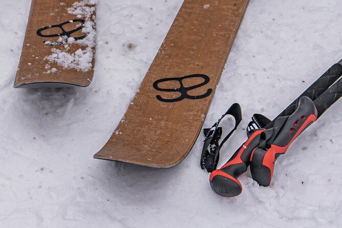 first-arctic-expedition-on-altai-skis