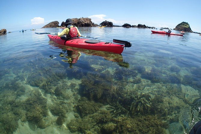 first-seakayak-tour