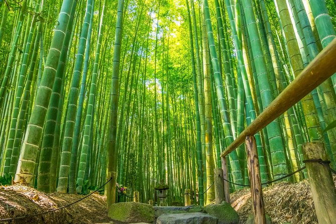 first-time-in-kamakura-enjoy-a-tour-of-all-must-sees