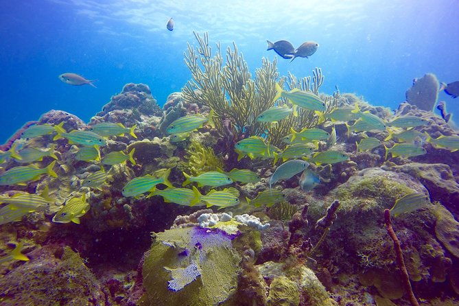 first-time-scuba-diving-experience-in-punta-cana