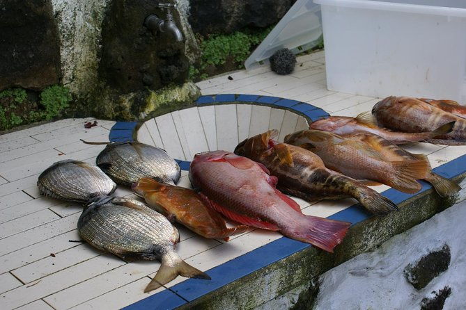 fish-in-the-azores-2