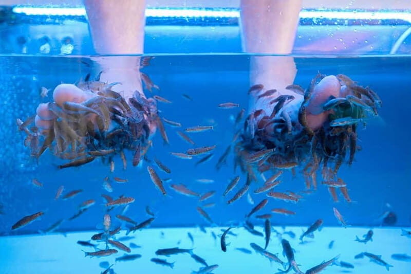 Fish Spa Experience Playa Fañabe - The 20-Minute Fish Spa Treatment  