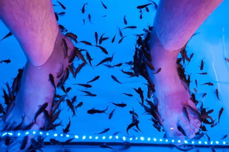 Fish Spa Experience Playa Fañabe - The Experiences Highlights  